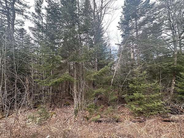 14.7 Acres of Land for Sale in Littleton, New Hampshire