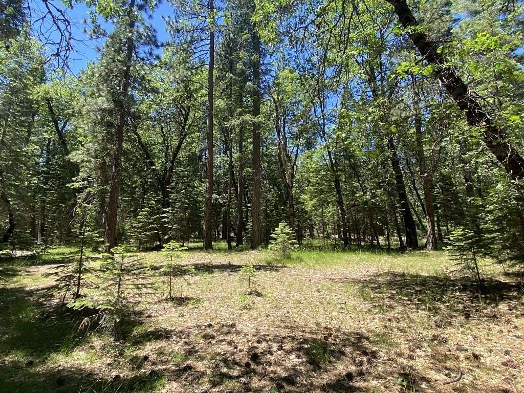 2.8 Acres of Residential Land for Sale in McCloud, California