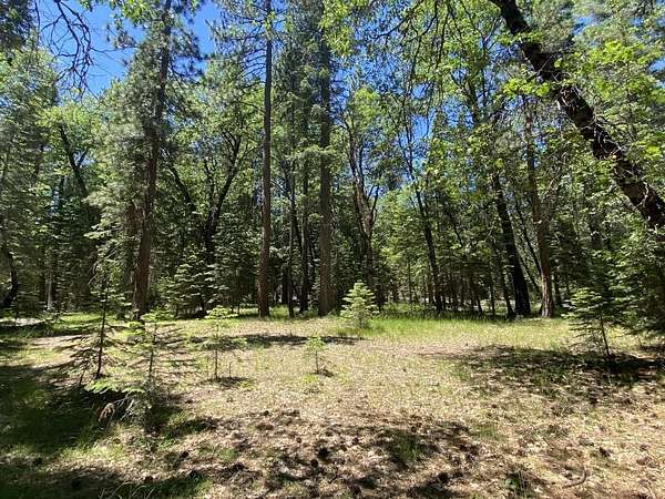 2.8 Acres of Residential Land for Sale in McCloud, California