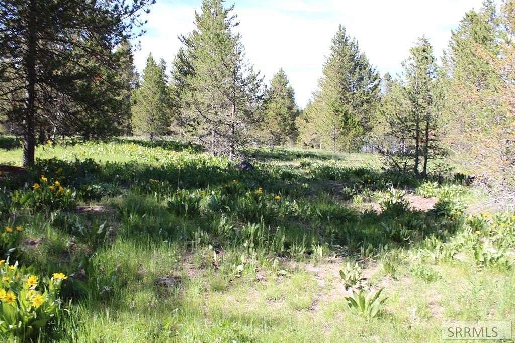 0.23 Acres of Residential Land for Sale in Island Park, Idaho
