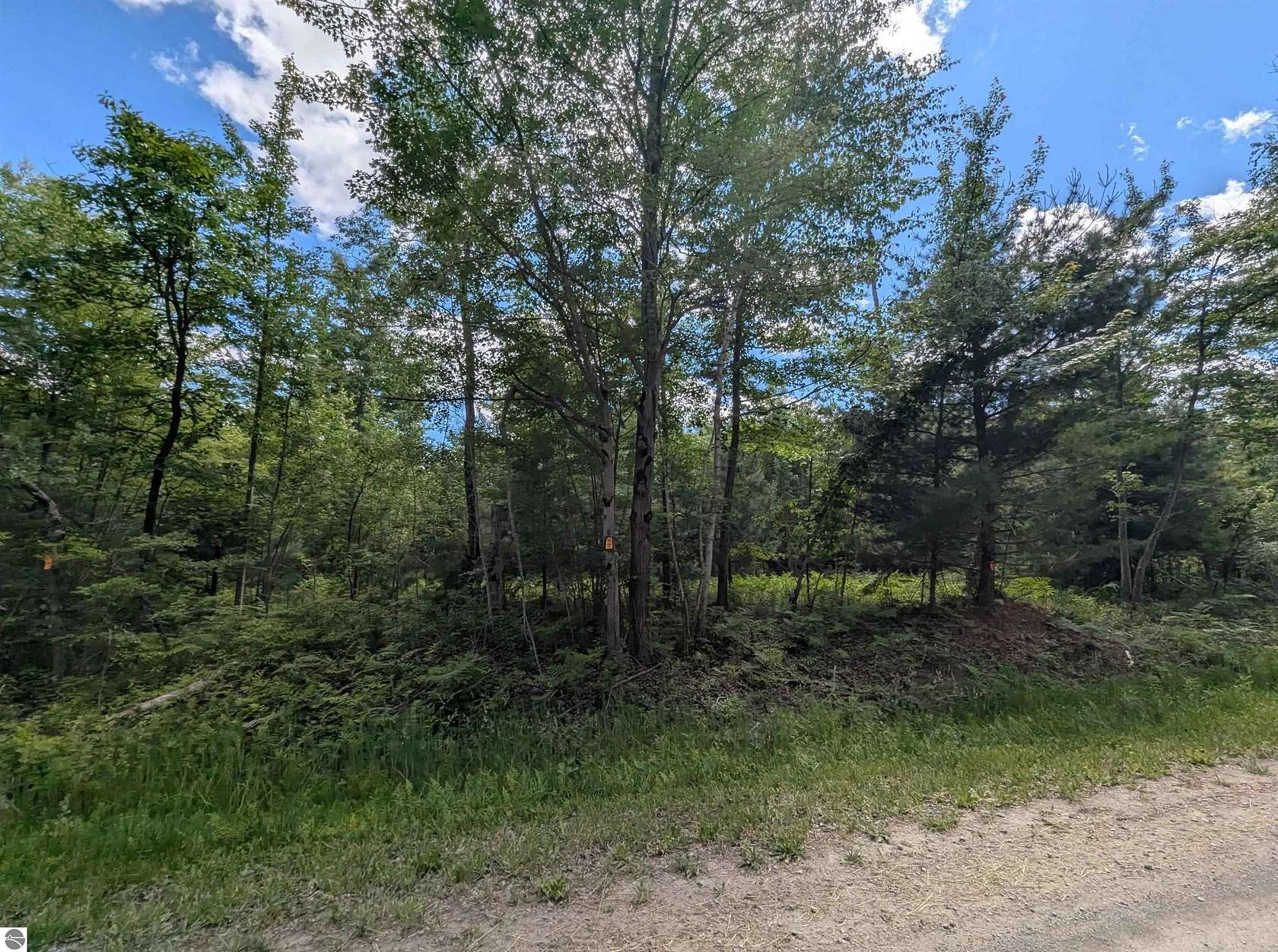 13.6 Acres of Land for Sale in Standish, Michigan