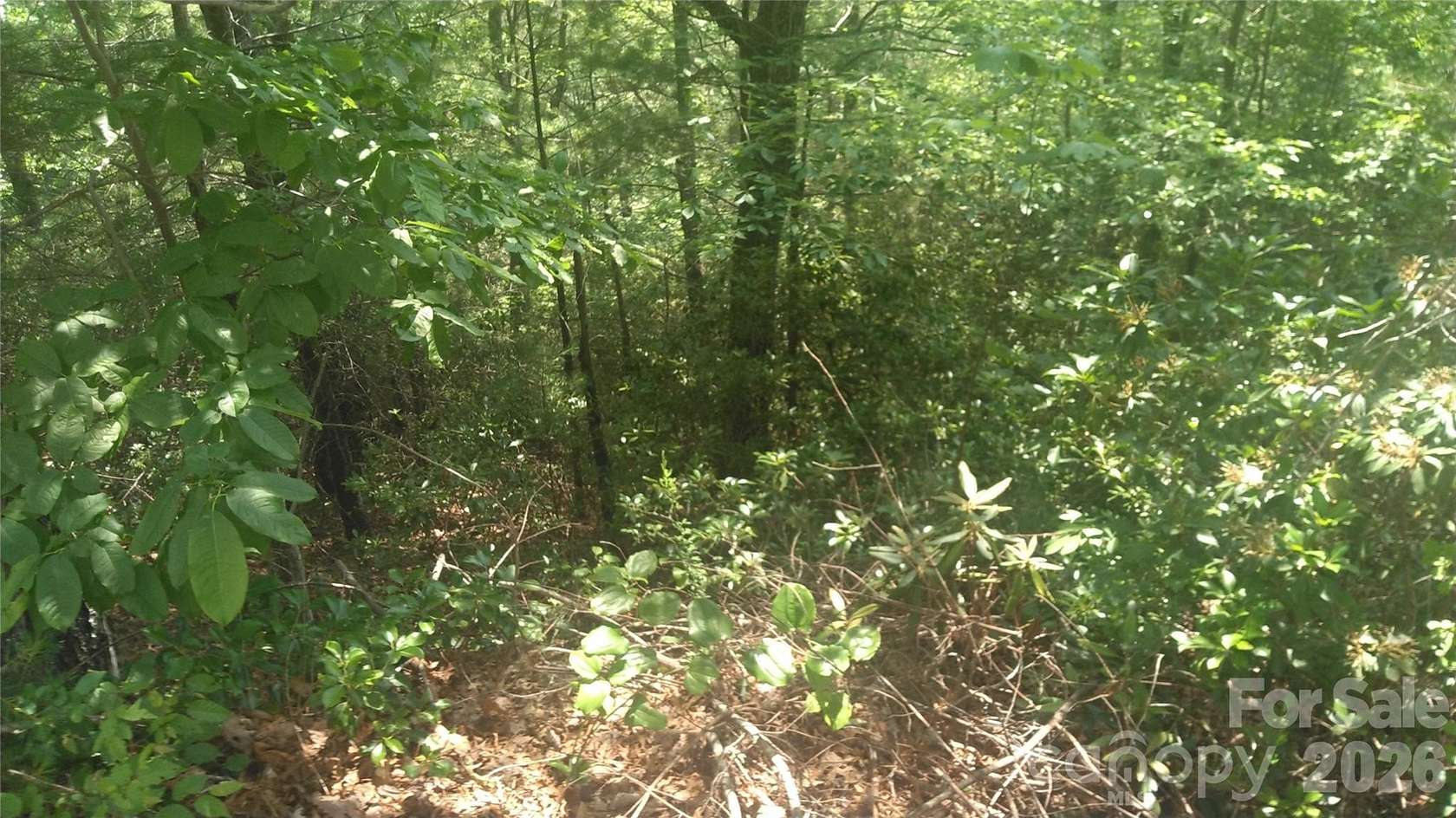 0.68 Acres of Residential Land for Sale in Marion, North Carolina