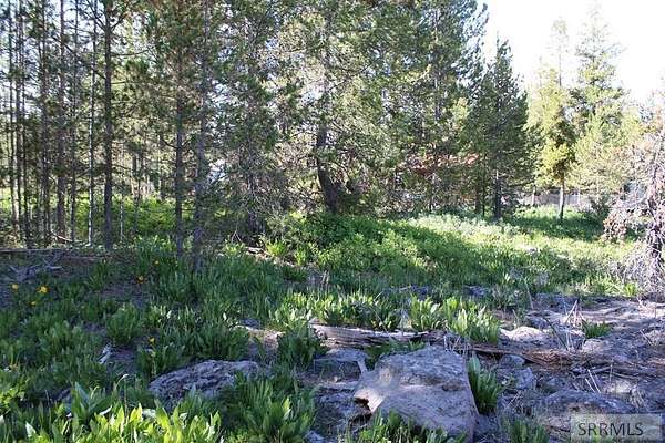 0.23 Acres of Residential Land for Sale in Island Park, Idaho
