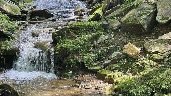 2.19 Acres of Land with Home for Sale in Bryson City, North Carolina