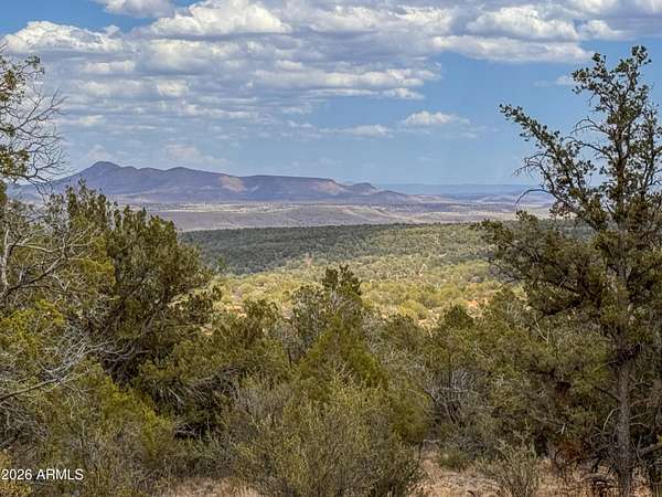 36.9 Acres of Land for Sale in Seligman, Arizona