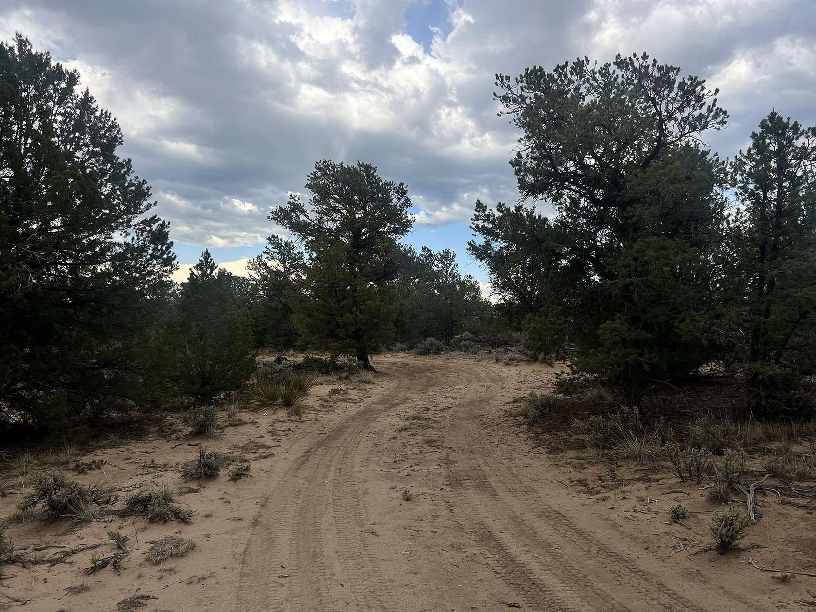 20 Acres of Recreational & Residential Land for Sale in Carson, New Mexico