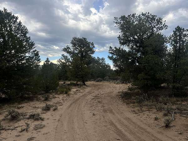 20 Acres of Recreational & Residential Land for Sale in Carson, New Mexico