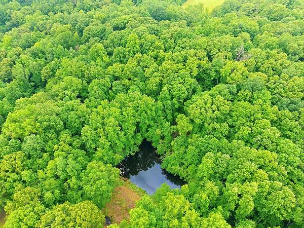 10.2 Acres of Land with Home for Sale in Lynnville, Tennessee