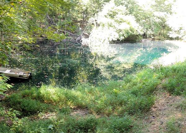 10.2 Acres of Land with Home for Sale in Lynnville, Tennessee