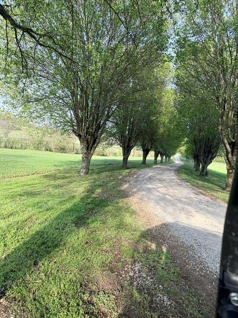 89 Acres of Land for Sale in Spring Hill, Tennessee