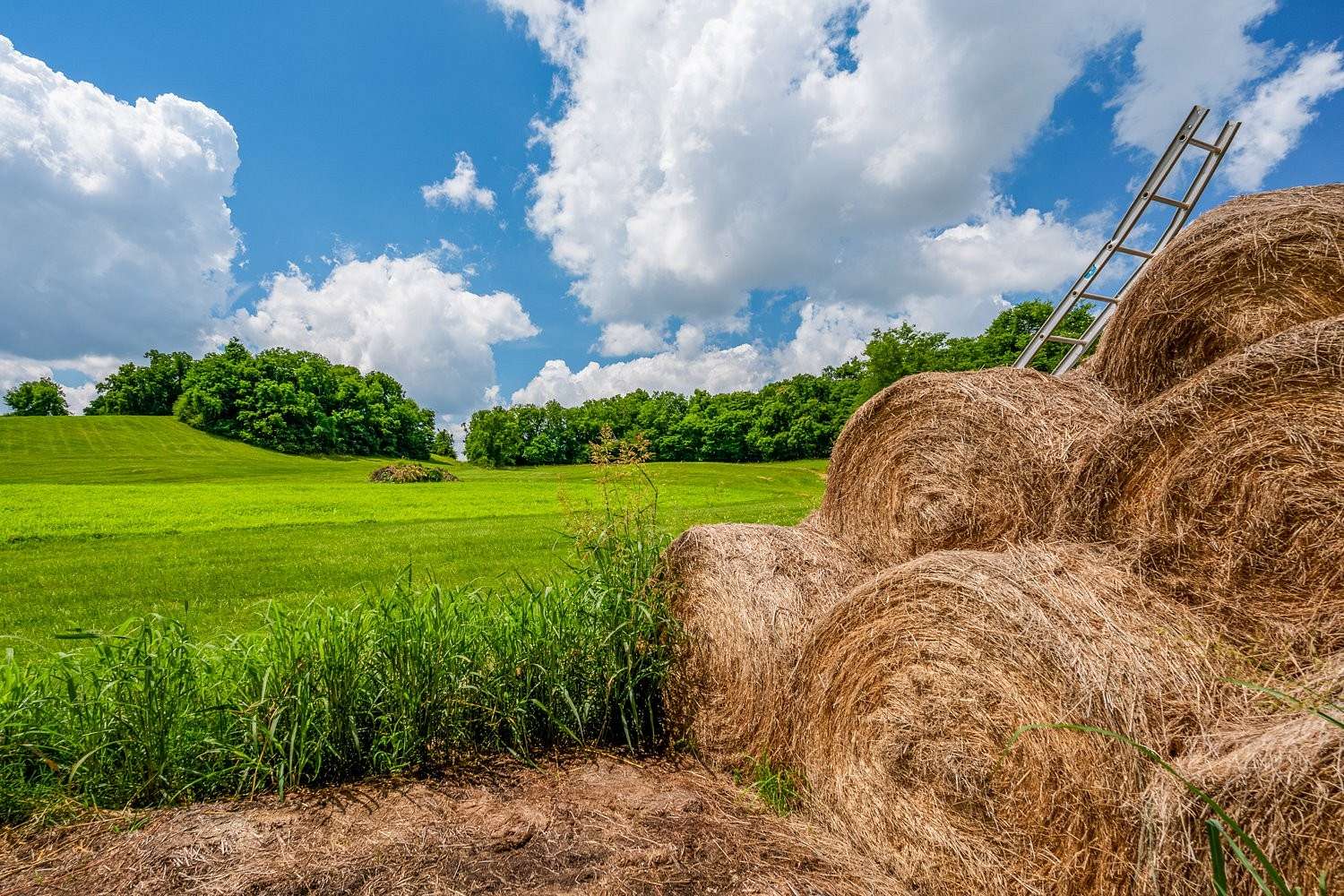 89 Acres of Land for Sale in Spring Hill, Tennessee