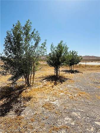 1.5 Acres of Land with Home for Lease in Pahrump, Nevada