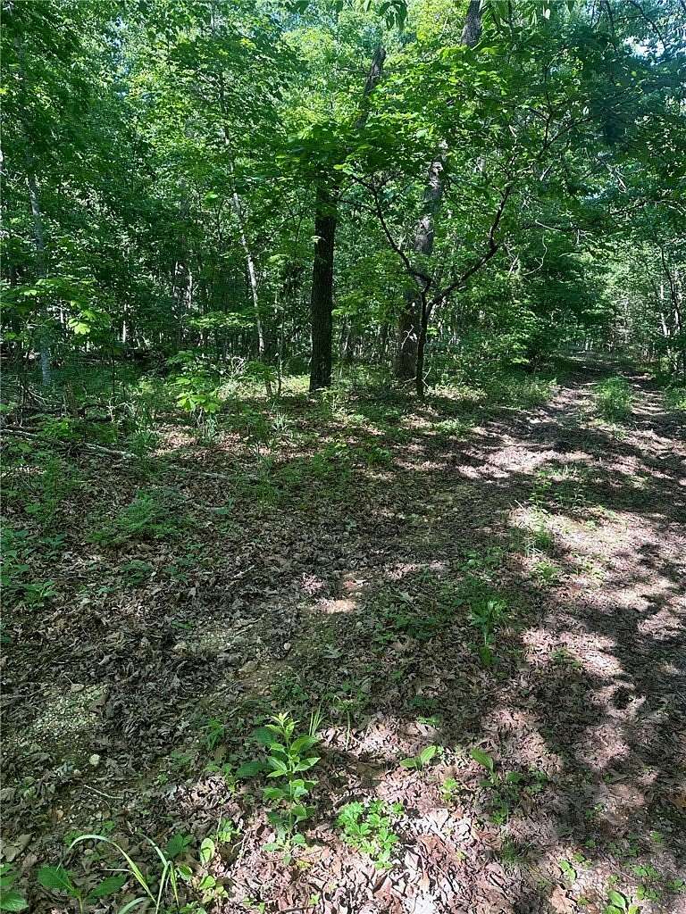 0.25 Acres of Land for Sale in Bella Vista, Arkansas