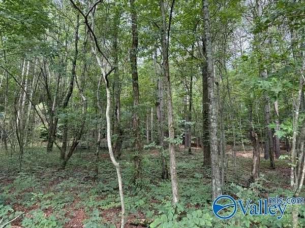 45.8 Acres of Recreational Land for Sale in Collinsville, Alabama