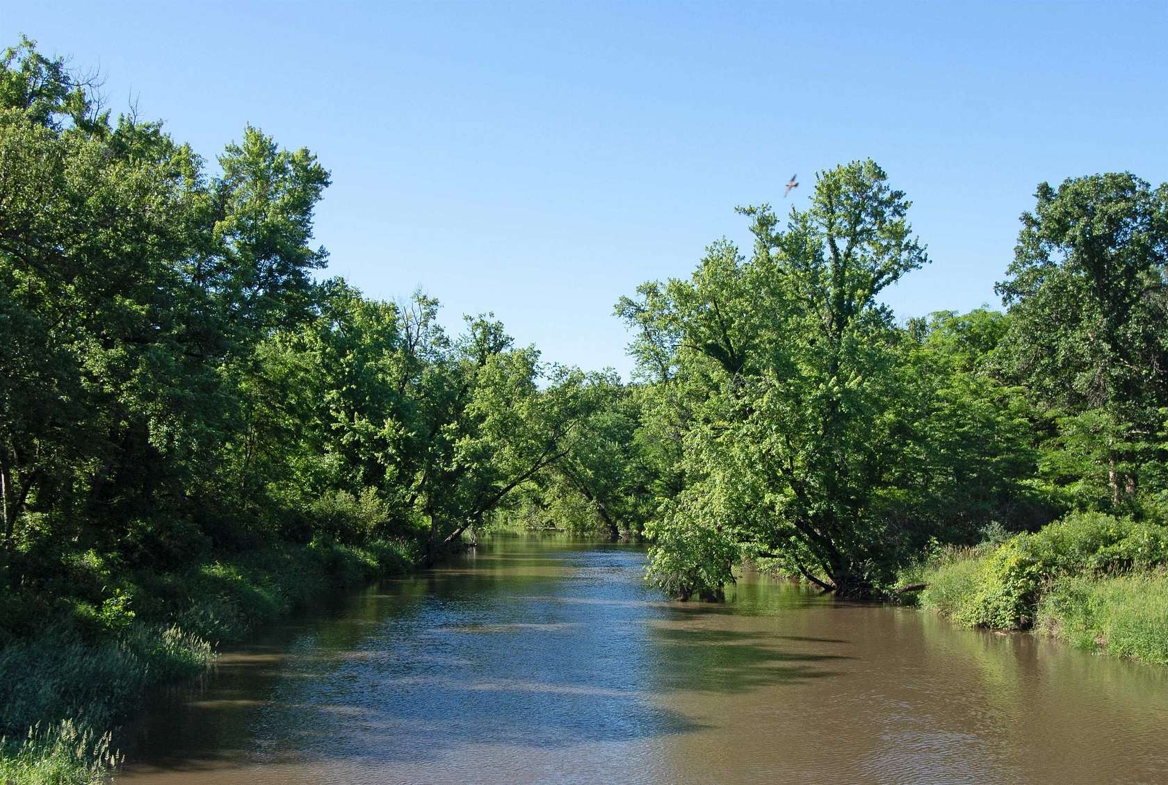 7.59 Acres of Land for Sale in Lone Rock, Wisconsin