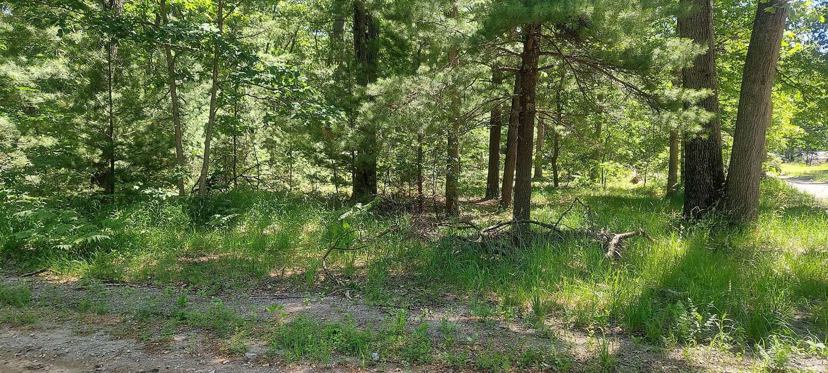 0.92 Acres of Residential Land for Sale in Twin Lake, Michigan