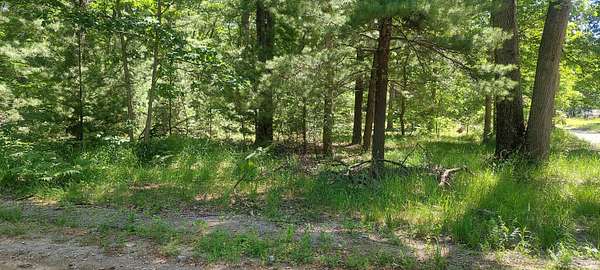 0.92 Acres of Residential Land for Sale in Twin Lake, Michigan