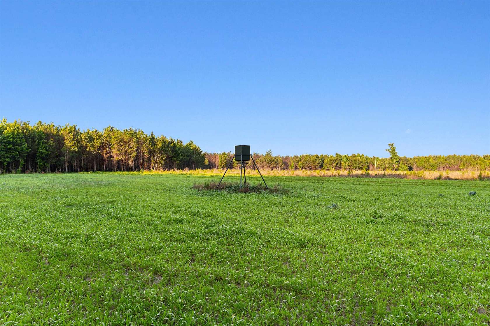 76.9 Acres of Recreational Land for Sale in Johnsonville, South Carolina