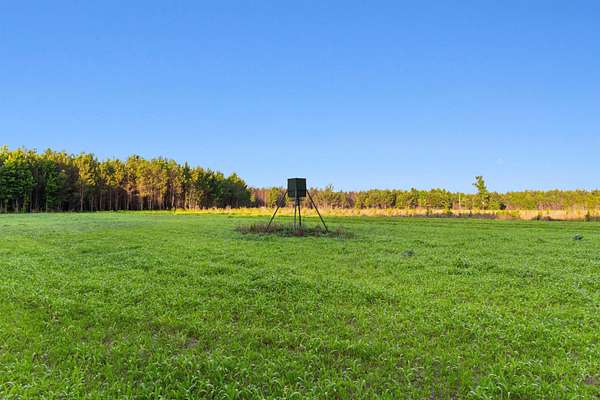 76.9 Acres of Recreational Land for Sale in Johnsonville, South Carolina
