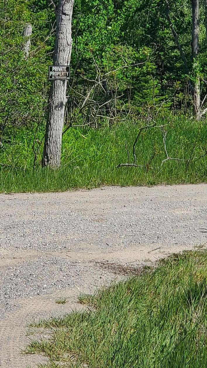 40 Acres of Recreational Land for Sale in Alpena, Michigan