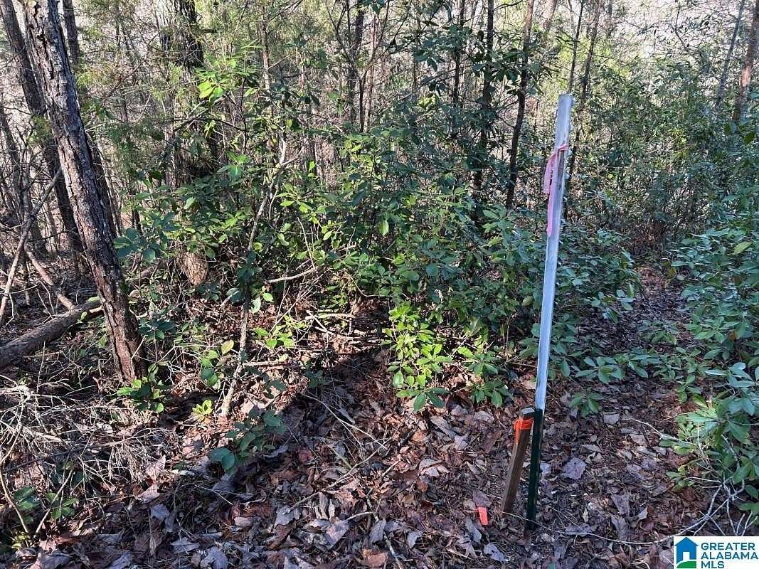 4.15 Acres of Residential Land for Sale in Northport, Alabama
