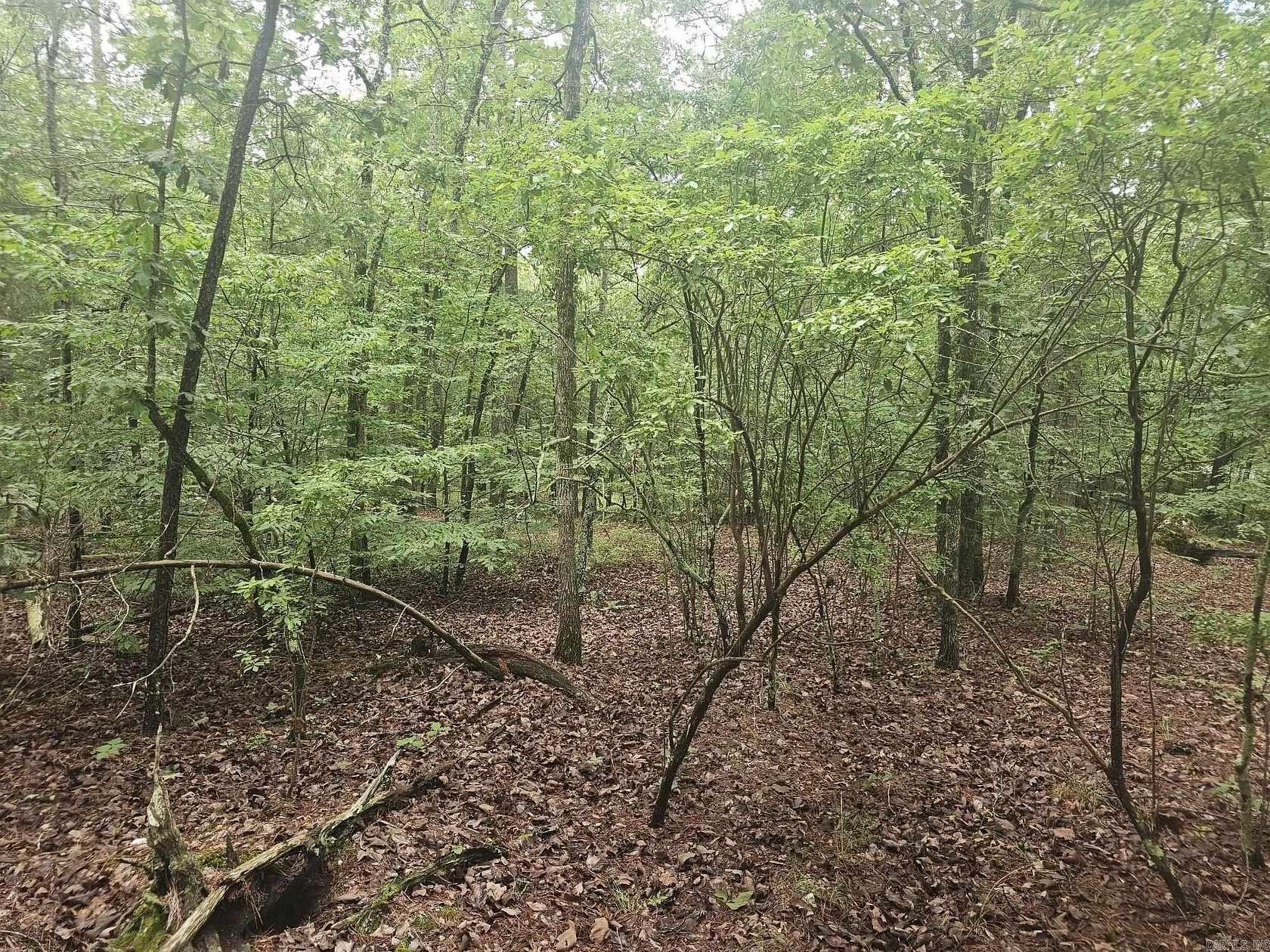 0.25 Acres of Residential Land for Sale in Hot Springs Village, Arkansas