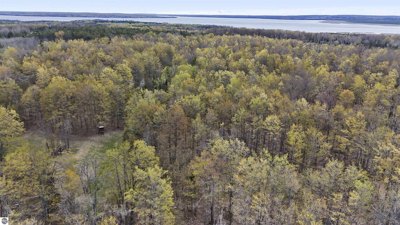 70 Acres of Recreational & Residential Land for Sale in Hillman, Michigan