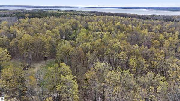 70 Acres of Recreational & Residential Land for Sale in Hillman, Michigan