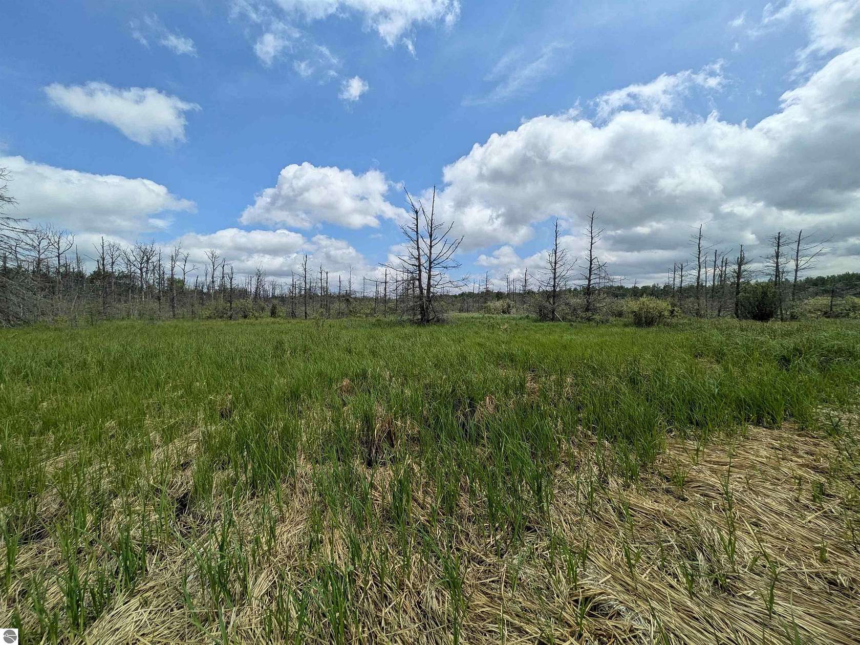 80 Acres of Recreational & Residential Land for Sale in Pickford, Michigan