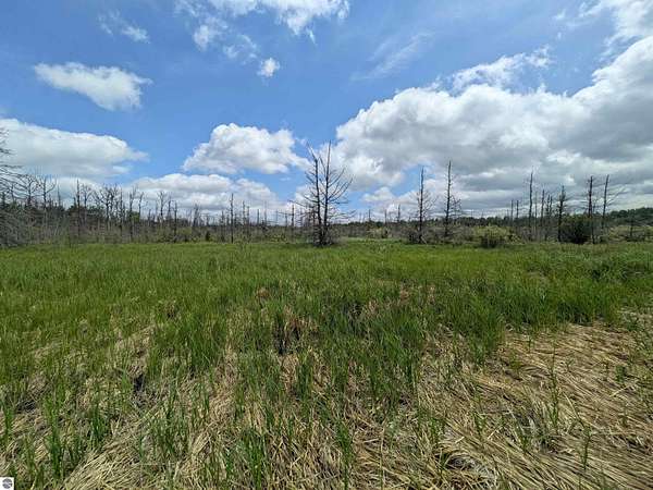 80 Acres of Recreational & Residential Land for Sale in Pickford, Michigan