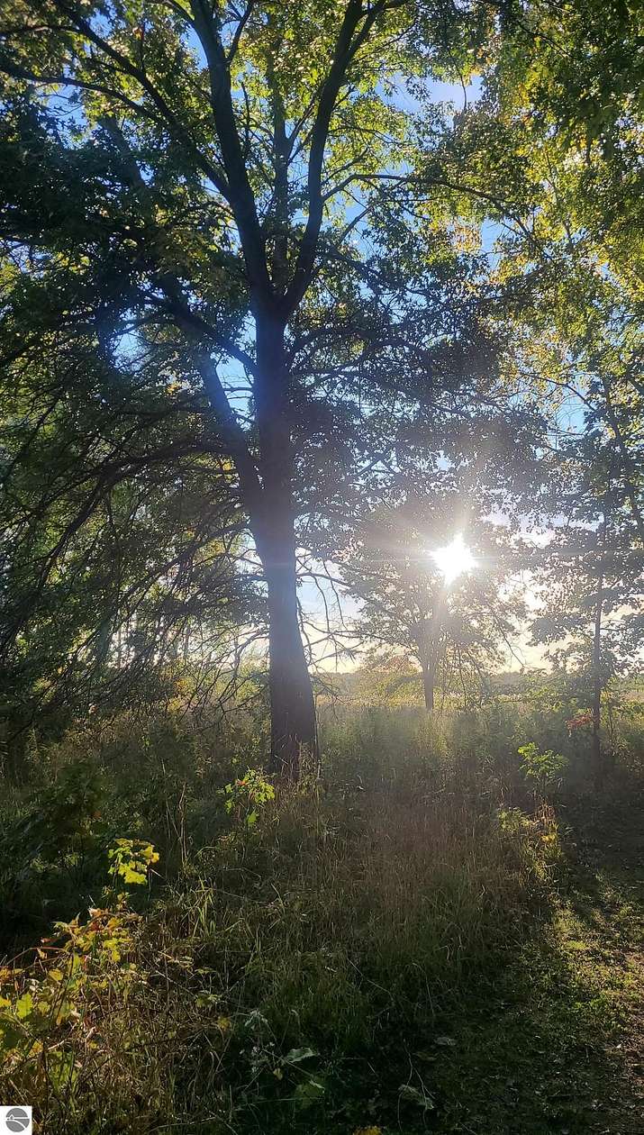 80 Acres of Recreational & Residential Land for Sale in Pickford, Michigan