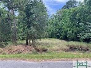 0.48 Acres of Land for Sale in Midway, Georgia
