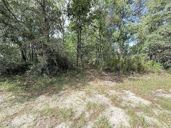 0.23 Acres of Residential Land for Sale in Ocala, Florida