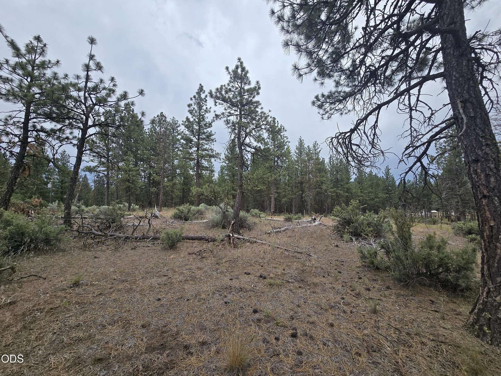 1.2 Acres of Residential Land for Sale in Chiloquin, Oregon