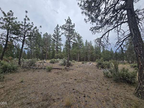 1.2 Acres of Residential Land for Sale in Chiloquin, Oregon