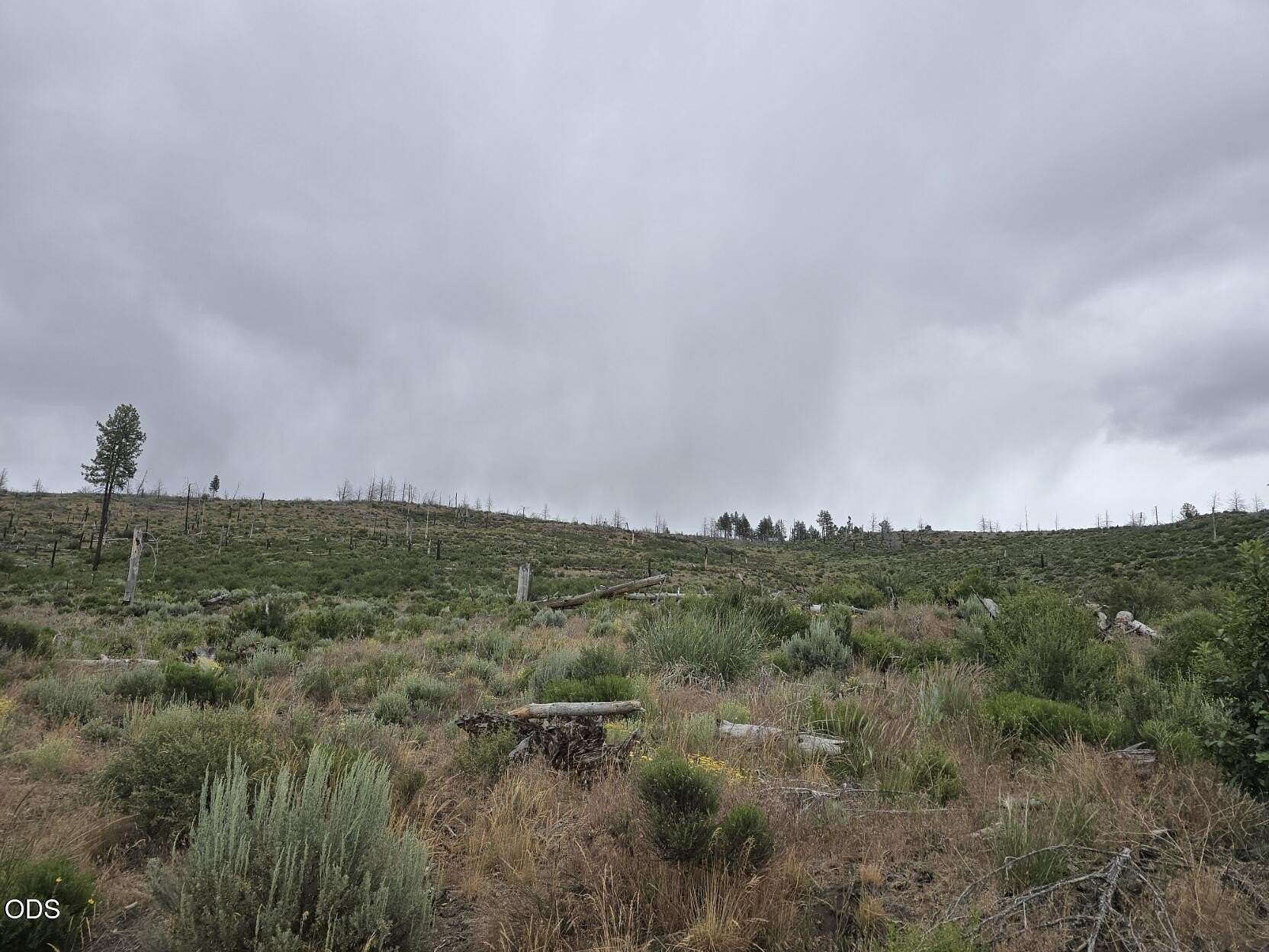 8.64 Acres of Residential Land for Sale in Chiloquin, Oregon