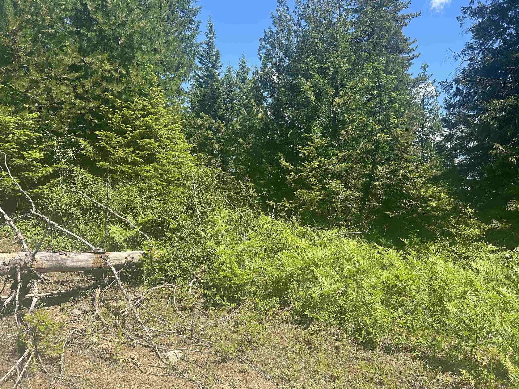 36 Acres of Land for Sale in Cusick, Washington