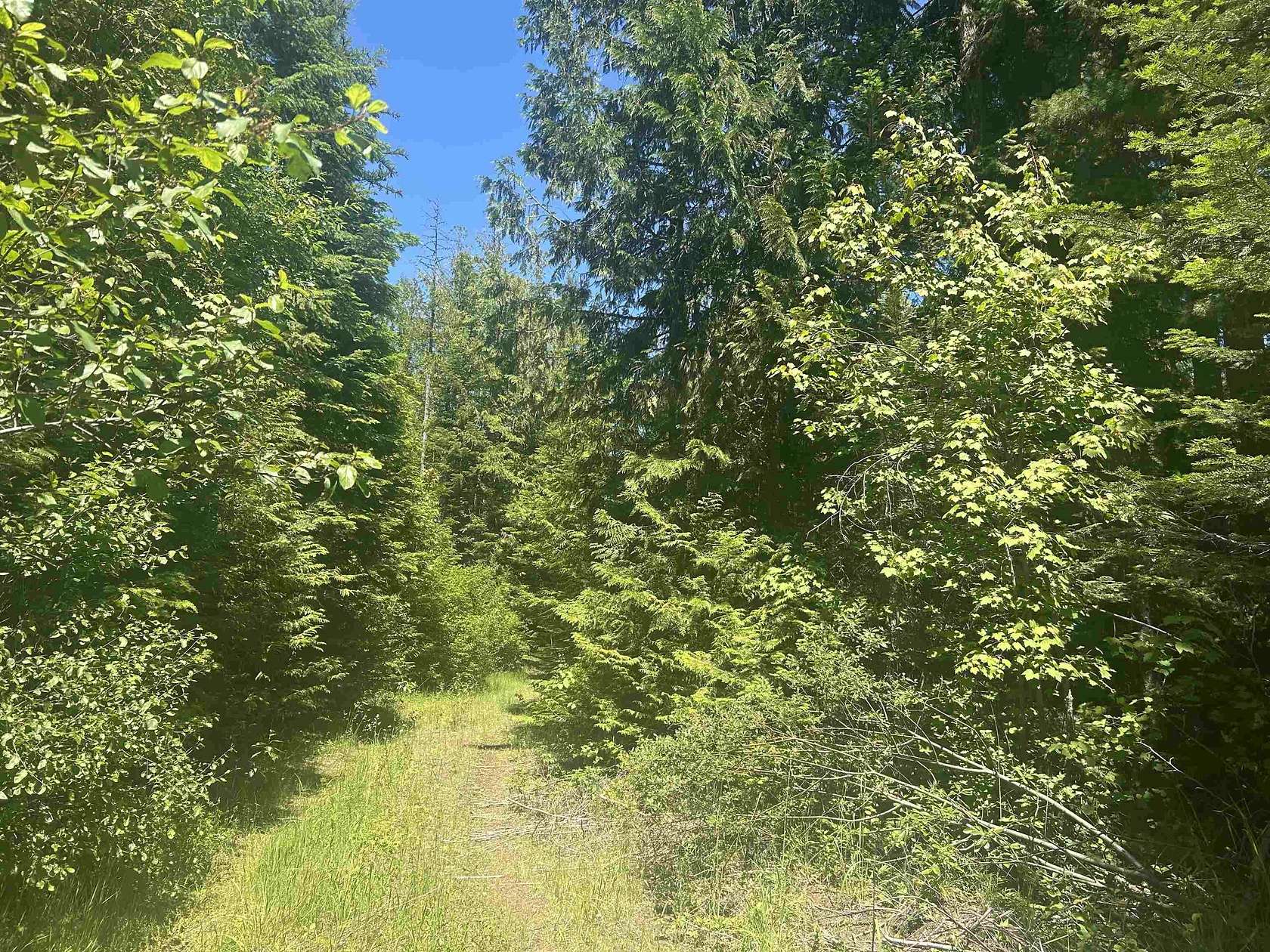 36 Acres of Land for Sale in Cusick, Washington