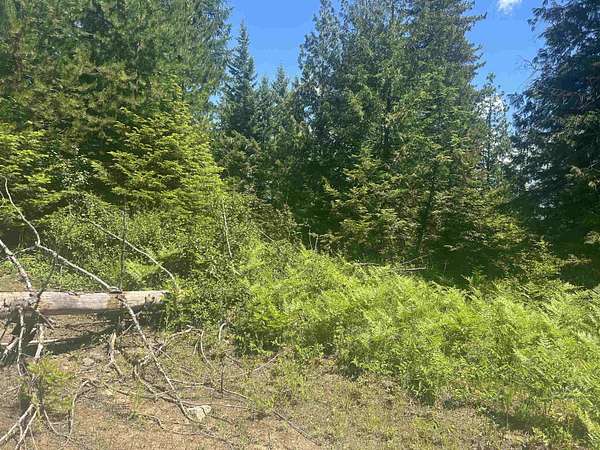 36 Acres of Land for Sale in Cusick, Washington