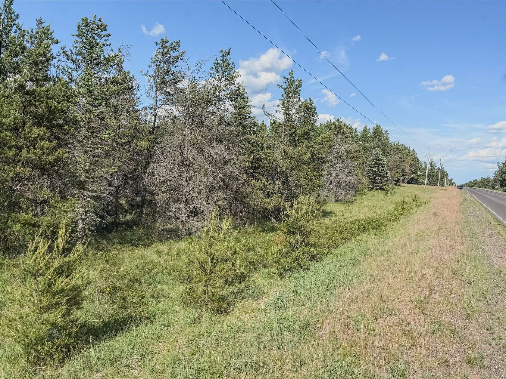 20 Acres of Land for Sale in Gordon, Wisconsin