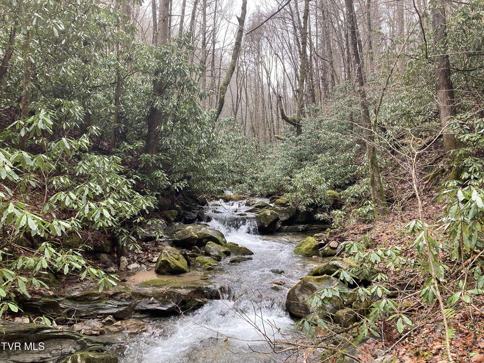 46.3 Acres of Land for Sale in Butler, Tennessee