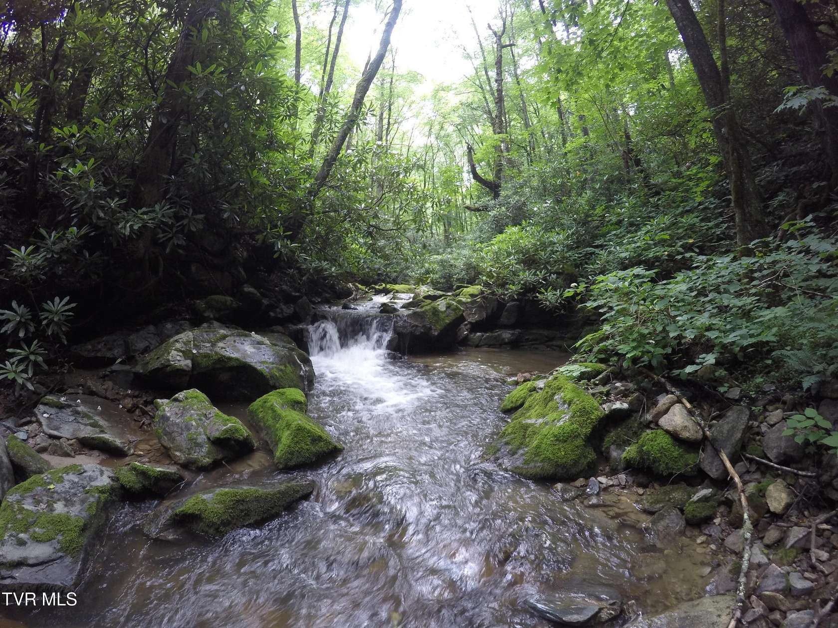 46.3 Acres of Recreational & Residential Land for Sale in Butler, Tennessee