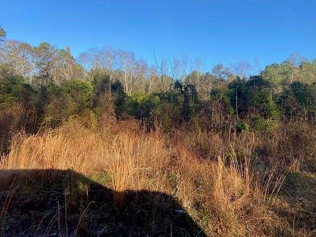 1.7 Acres of Land for Sale in Paulding, Mississippi