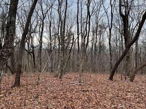 3.56 Acres of Residential Land for Sale in Ellijay, Georgia