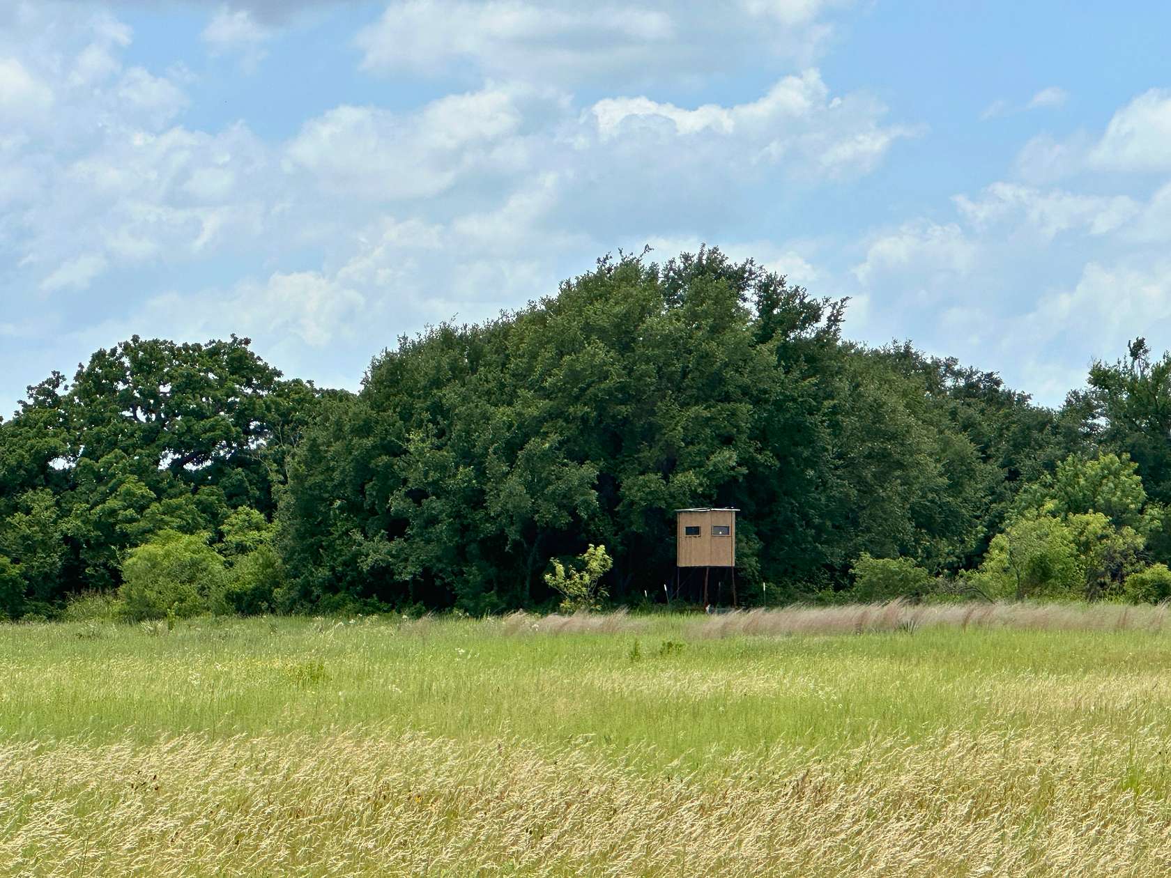 10 Acres of Land for Sale in Blanket, Texas
