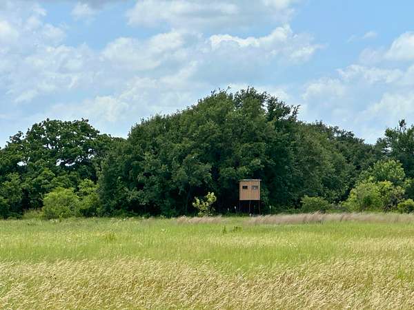 10 Acres of Land for Sale in Blanket, Texas