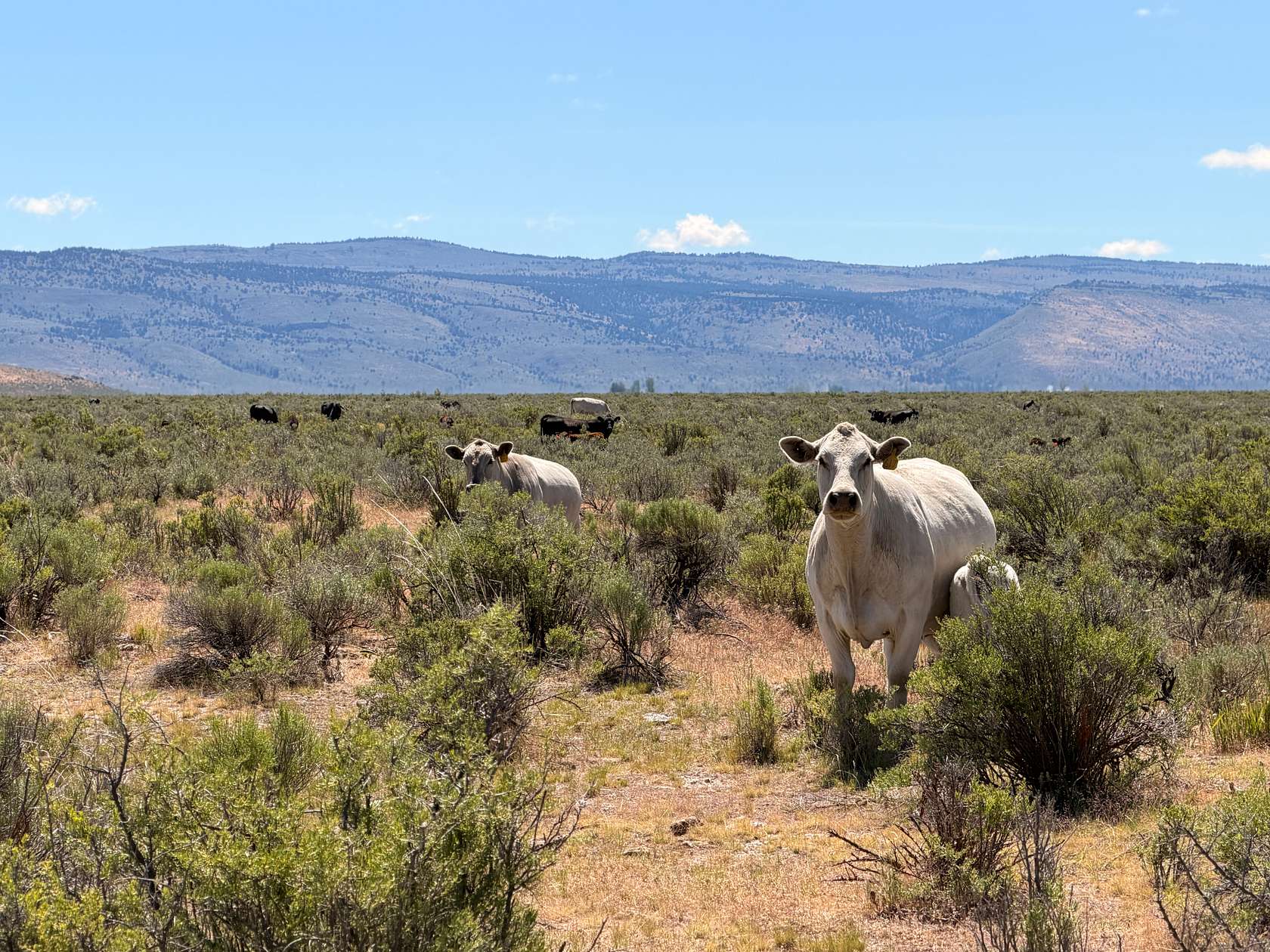 640 Acres of Agricultural Land for Sale in Burns, Oregon