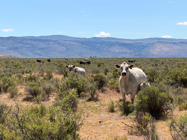 640 Acres of Agricultural Land for Sale in Burns, Oregon
