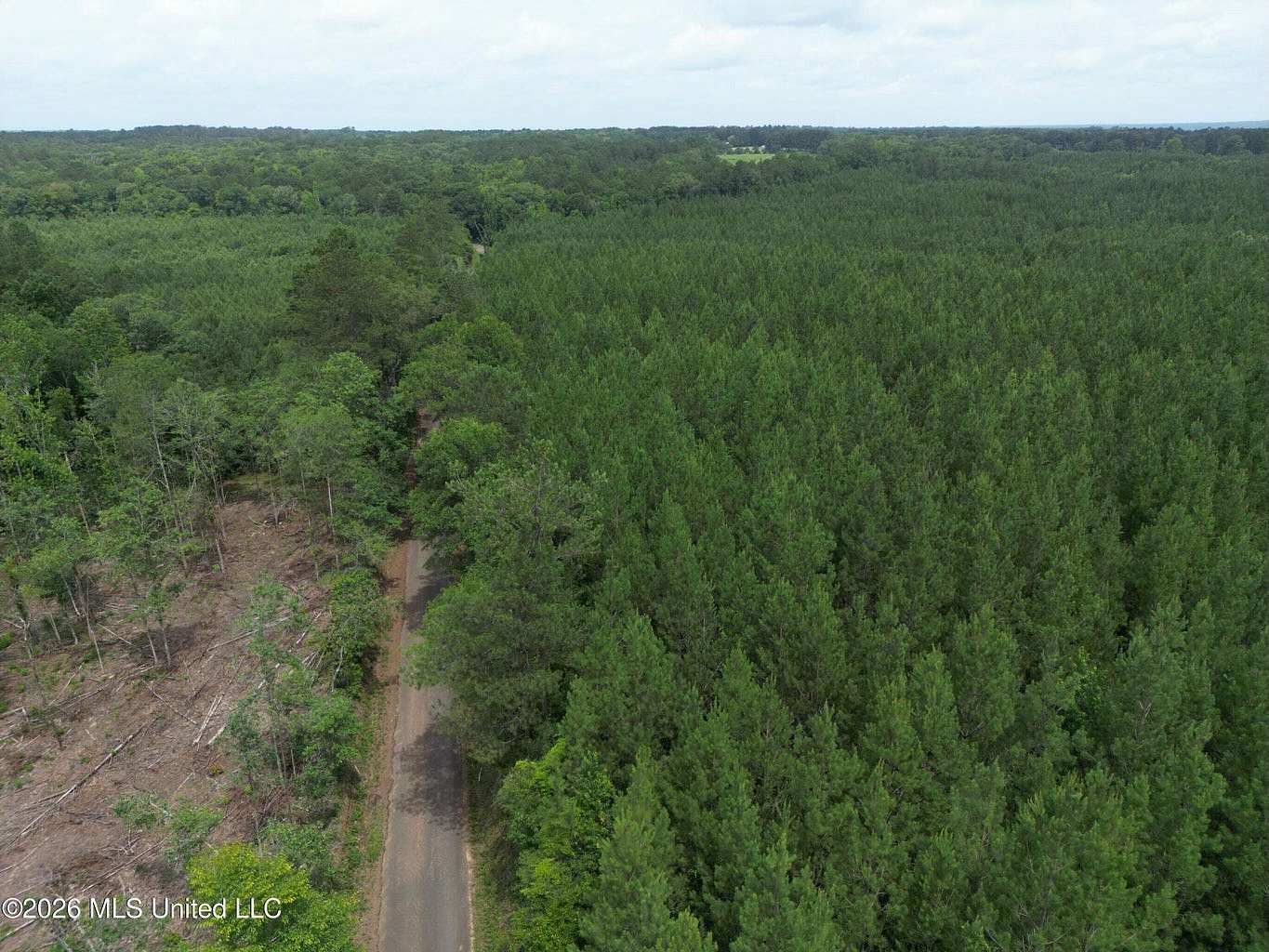 70 Acres of Land for Sale in McComb, Mississippi