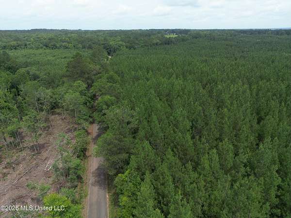 70 Acres of Land for Sale in McComb, Mississippi